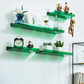 ColorSplash Acrylic Shelves