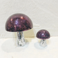Purple Disco Funghi
